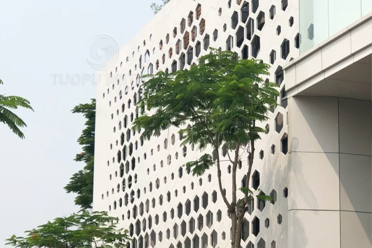 Aluminum curtain wall panel - detail view